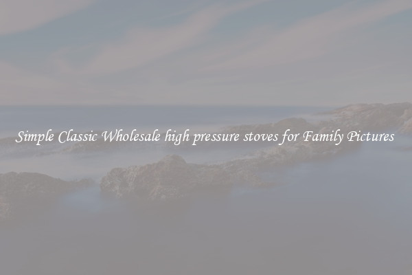 Simple Classic Wholesale high pressure stoves for Family Pictures 