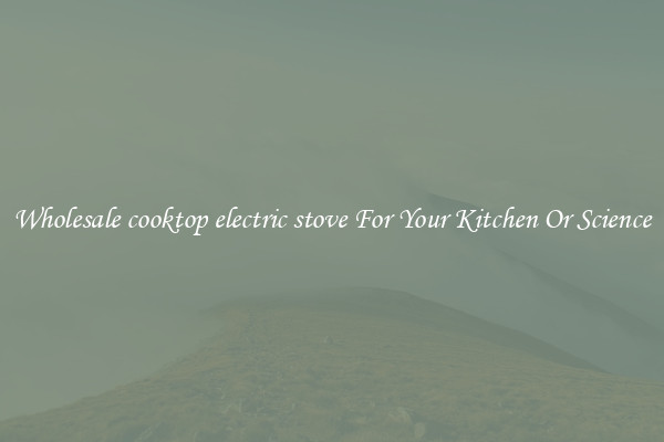 Wholesale cooktop electric stove For Your Kitchen Or Science