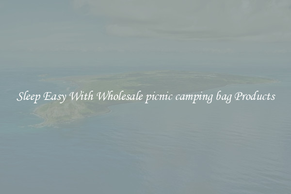 Sleep Easy With Wholesale picnic camping bag Products