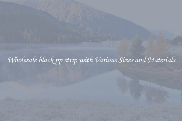 Wholesale black pp strip with Various Sizes and Materials