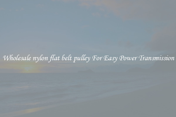 Wholesale nylon flat belt pulley For Easy Power Transmission