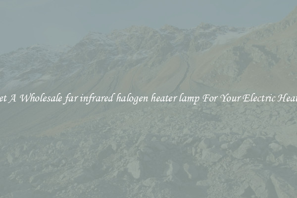 Get A Wholesale far infrared halogen heater lamp For Your Electric Heater
