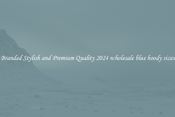 Branded Stylish and Premium Quality 2024 wholesale blue hoody sizes