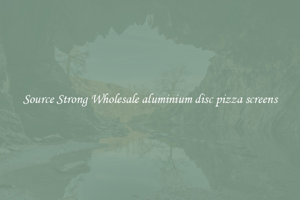 Source Strong Wholesale aluminium disc pizza screens