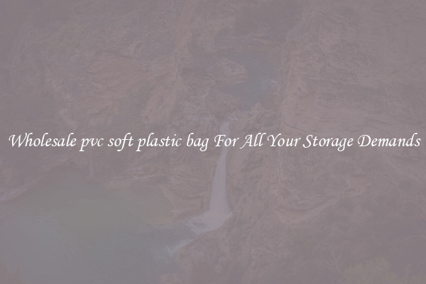 Wholesale pvc soft plastic bag For All Your Storage Demands