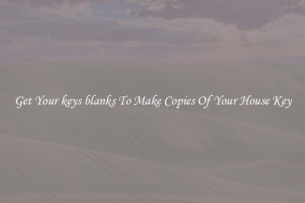 Get Your keys blanks To Make Copies Of Your House Key