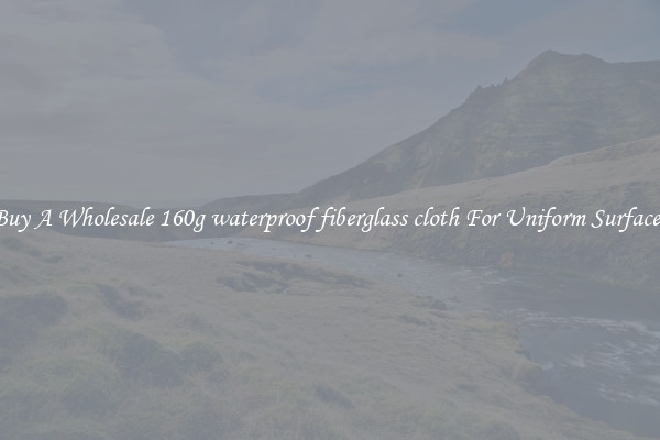Buy A Wholesale 160g waterproof fiberglass cloth For Uniform Surfaces