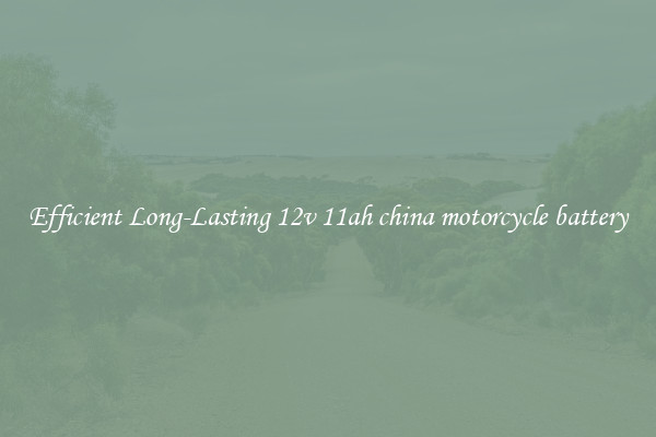 Efficient Long-Lasting 12v 11ah china motorcycle battery