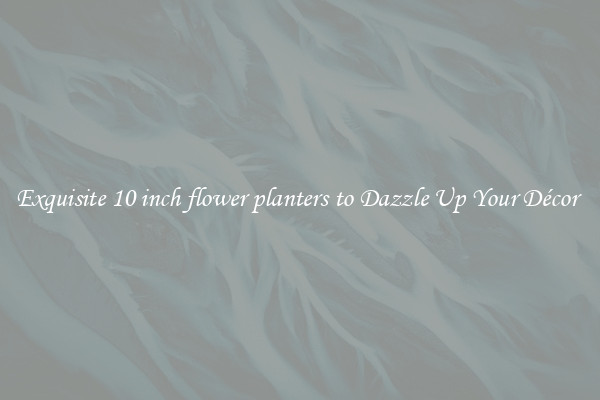 Exquisite 10 inch flower planters to Dazzle Up Your Décor 