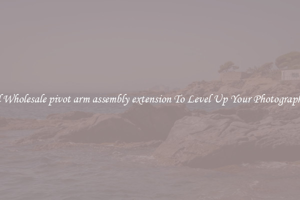 Useful Wholesale pivot arm assembly extension To Level Up Your Photography Skill