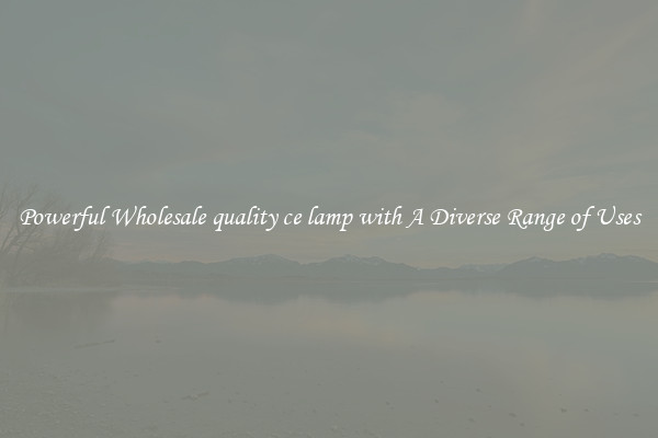 Powerful Wholesale quality ce lamp with A Diverse Range of Uses