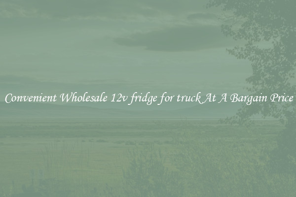 Convenient Wholesale 12v fridge for truck At A Bargain Price