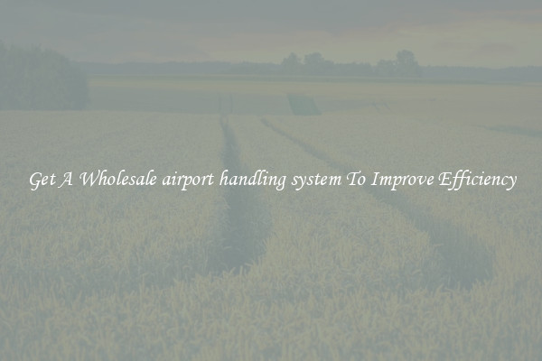 Get A Wholesale airport handling system To Improve Efficiency