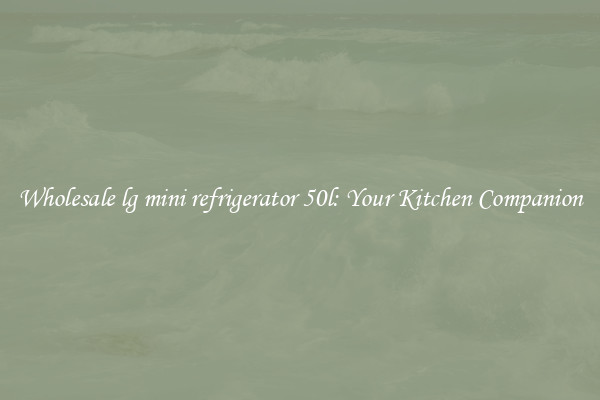 Wholesale lg mini refrigerator 50l: Your Kitchen Companion