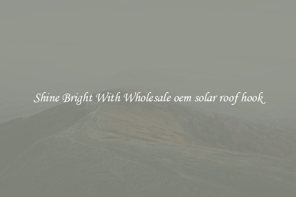 Shine Bright With Wholesale oem solar roof hook