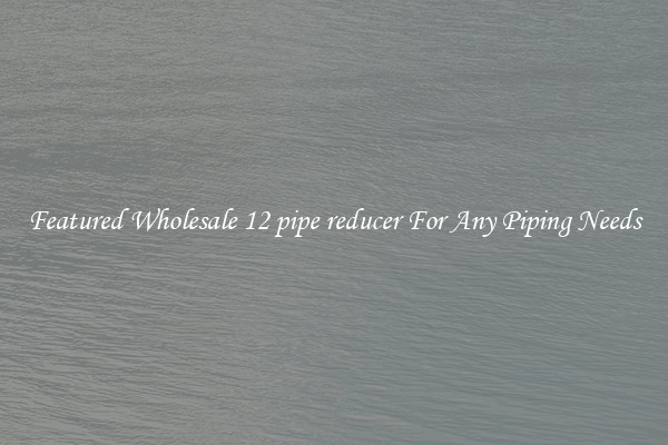 Featured Wholesale 12 pipe reducer For Any Piping Needs
