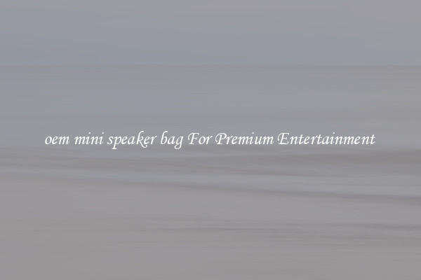 oem mini speaker bag For Premium Entertainment 