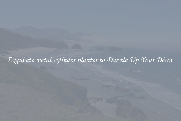 Exquisite metal cylinder planter to Dazzle Up Your Décor 