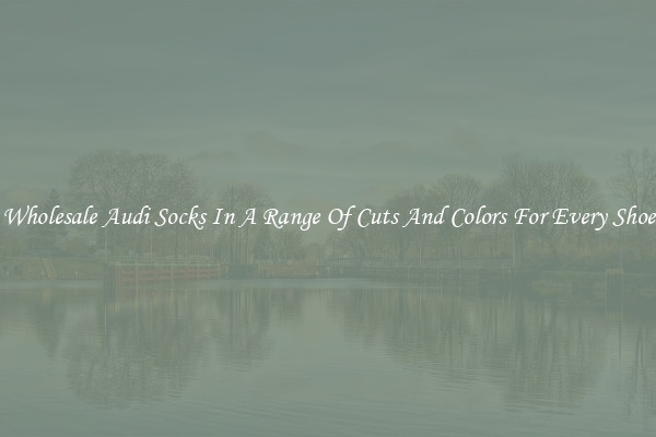 Wholesale Audi Socks In A Range Of Cuts And Colors For Every Shoe