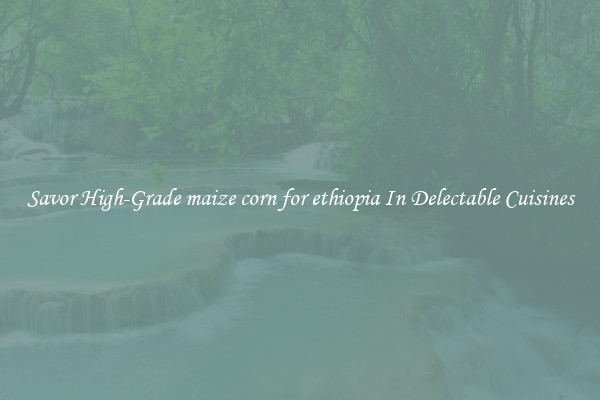 Savor High-Grade maize corn for ethiopia In Delectable Cuisines